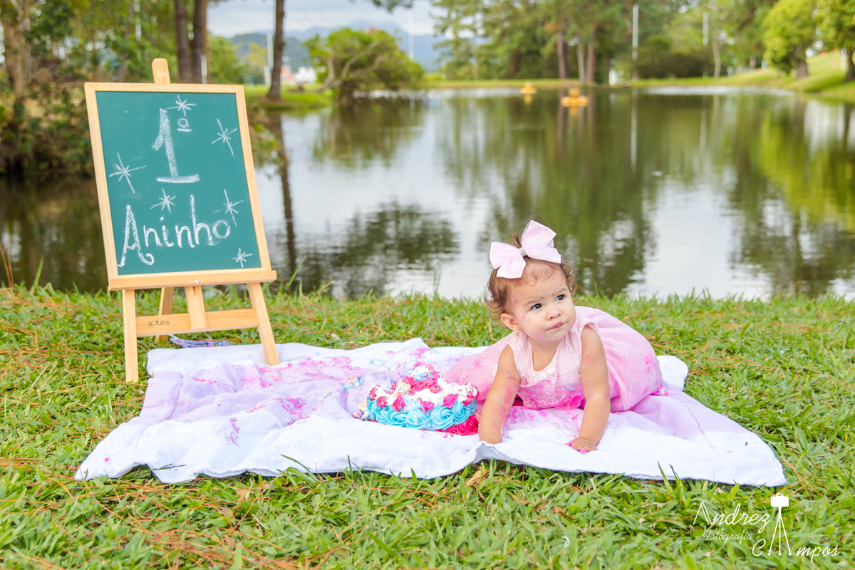 ensaio smash the cake