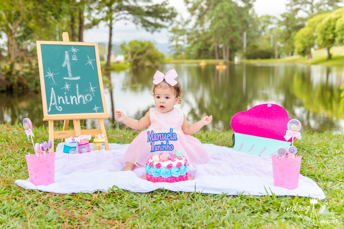 cenario smash the cake menina