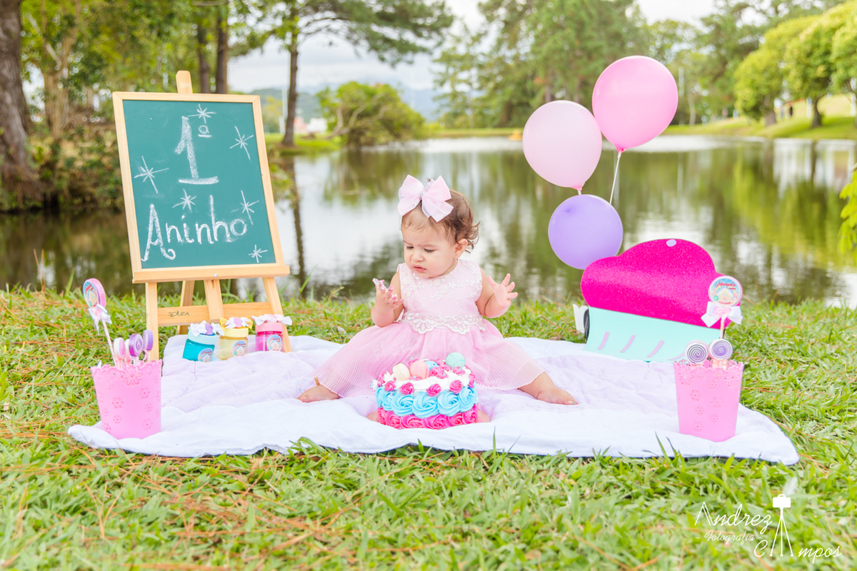 ensaio smash the cake