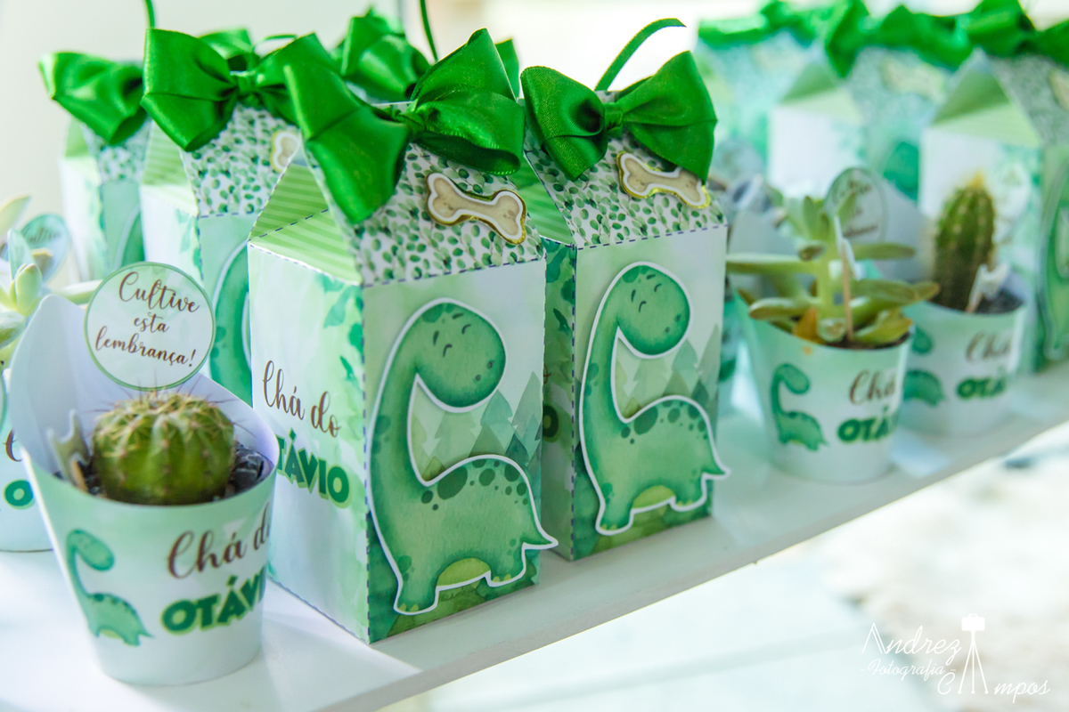 lembrancinha cha revelação