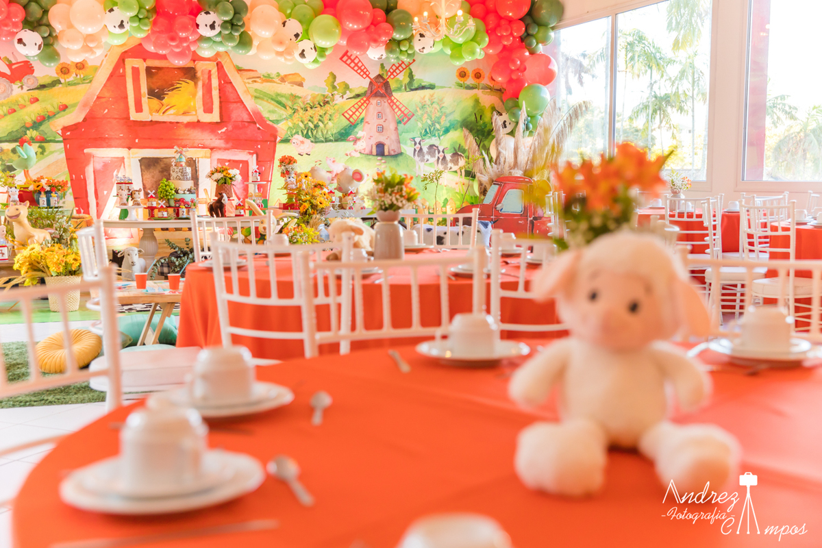 decoracao fazendinha