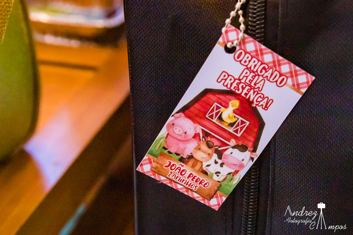 lembrancinha fazendinha