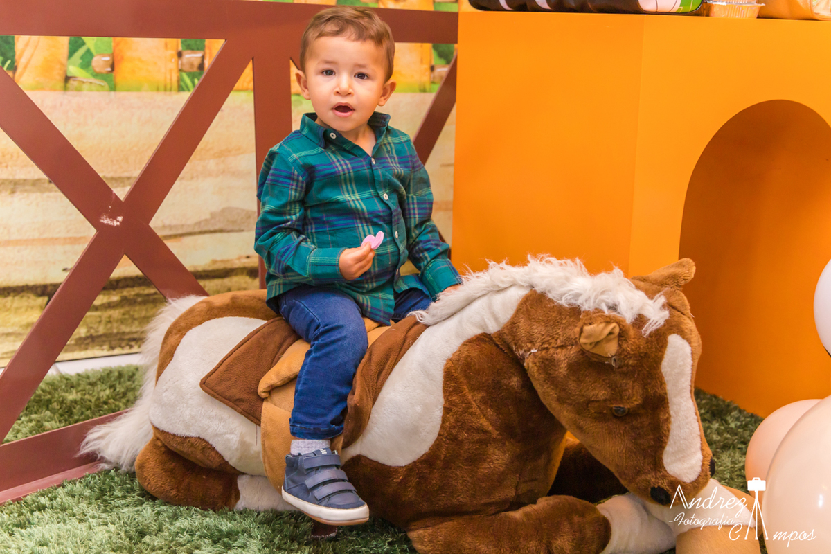 aniversario fazendinha