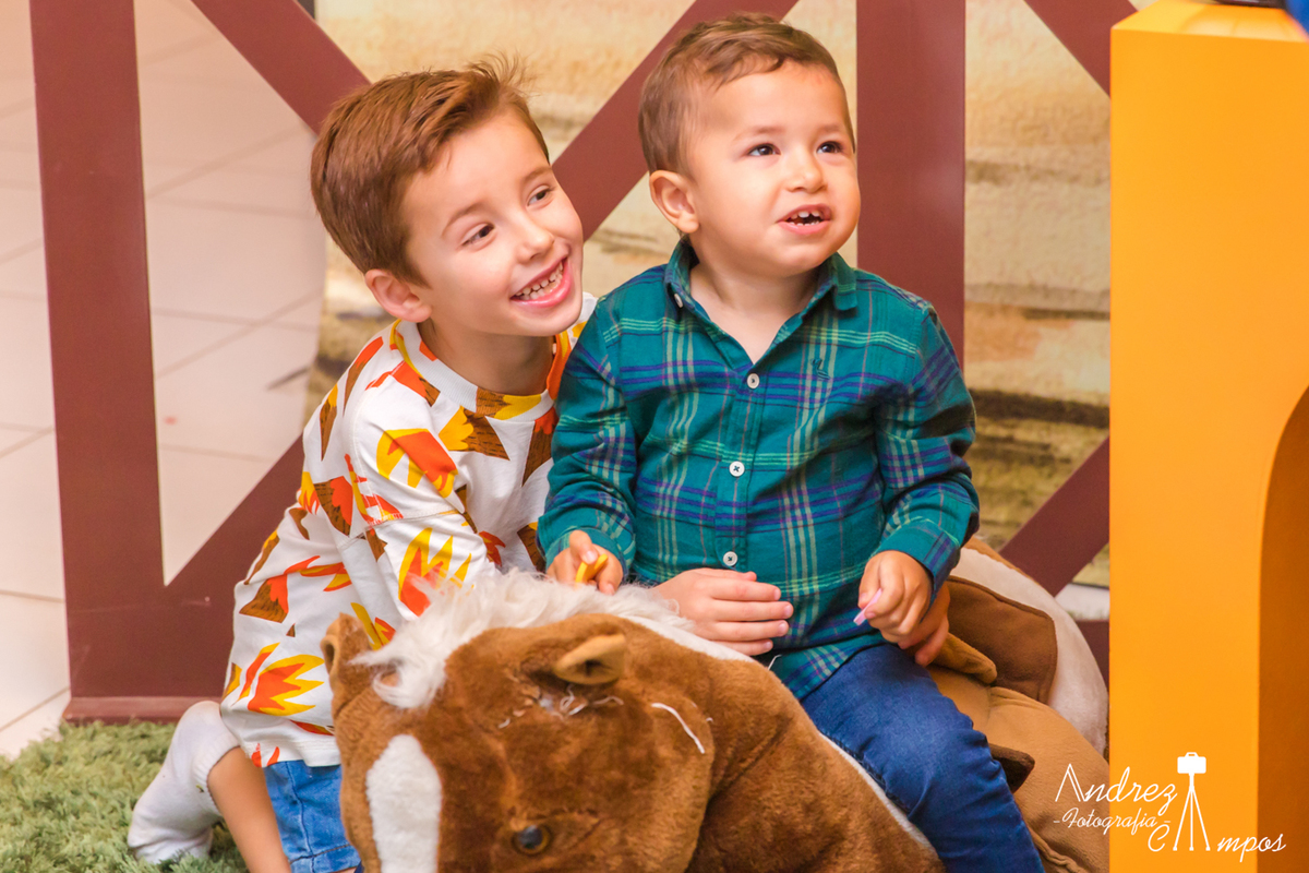 aniversario fazendinha