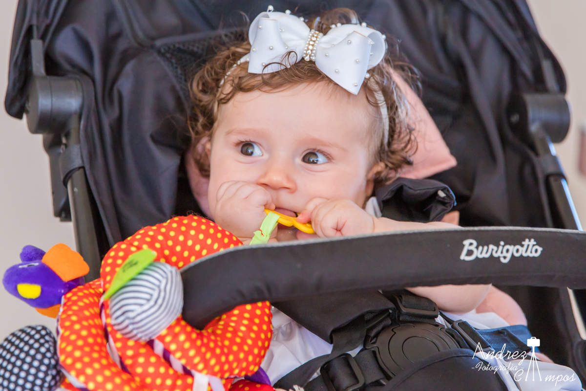 batizado florianopolis
