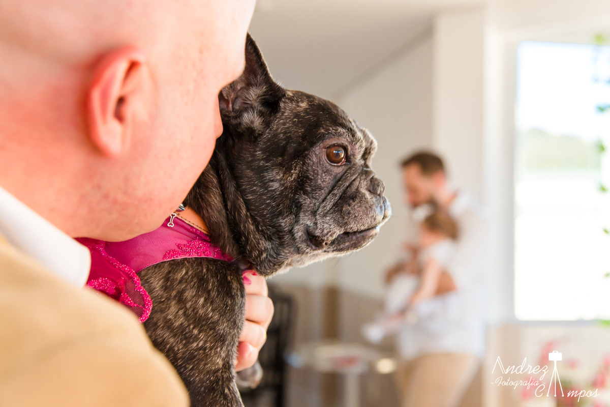 batizado florianopolis