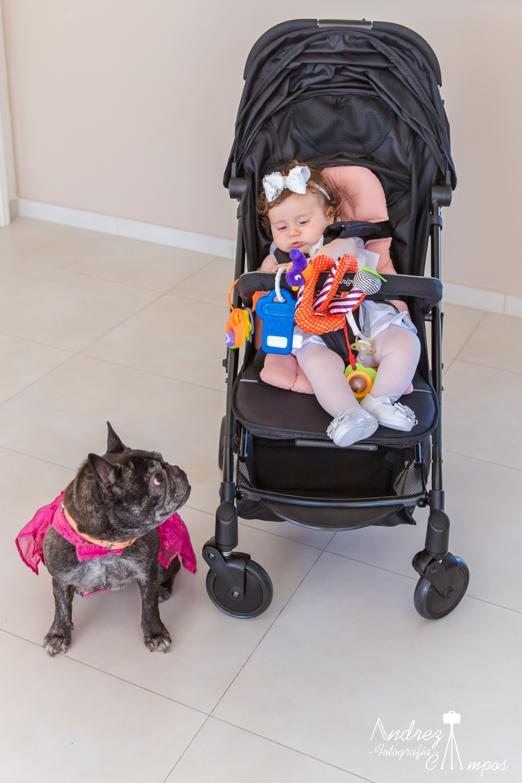 batizado florianopolis