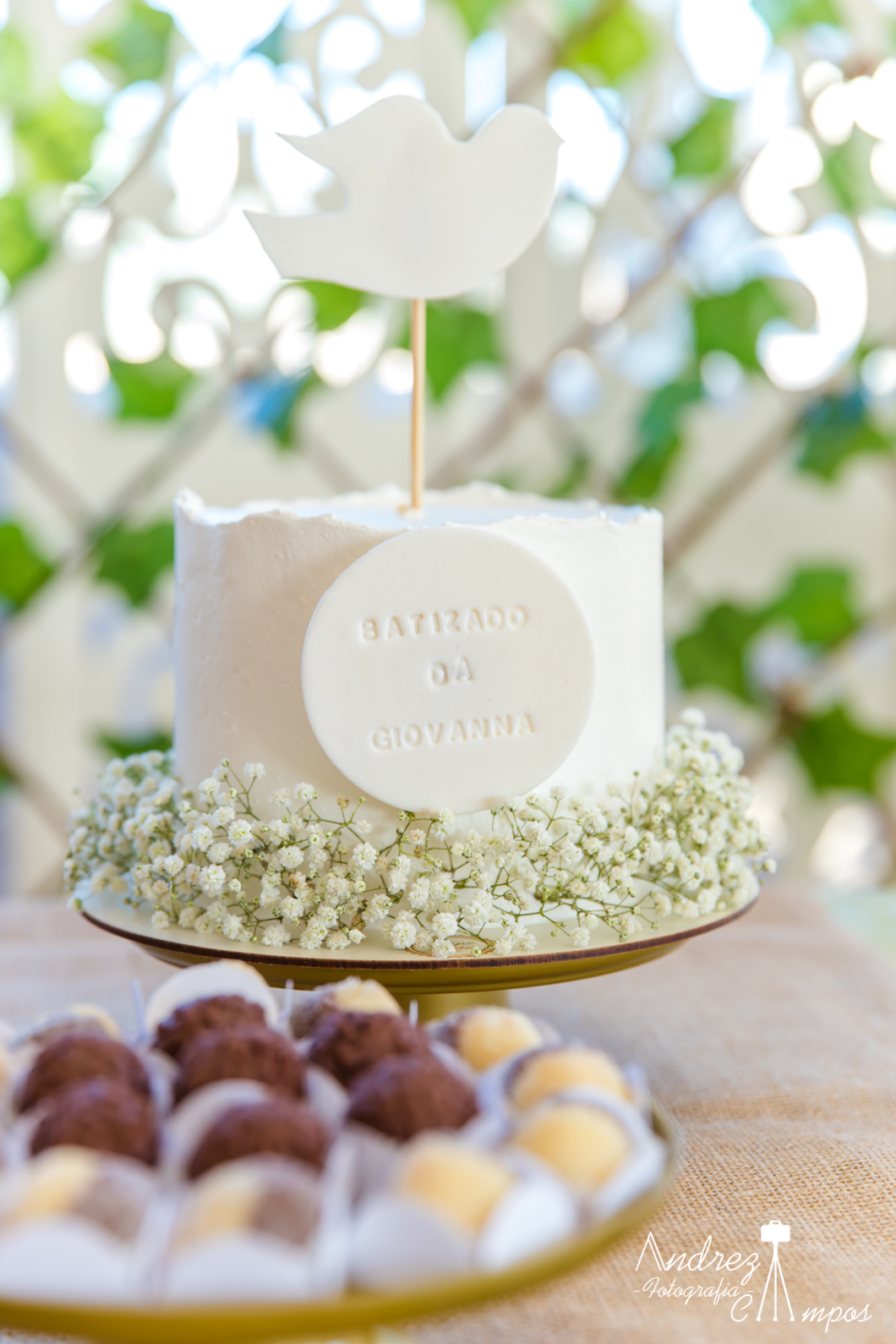 batizado florianopolis