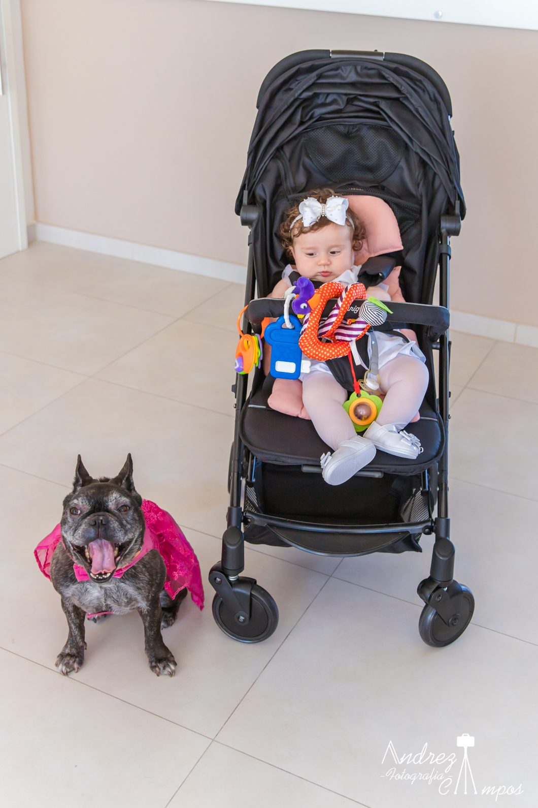 batizado florianopolis