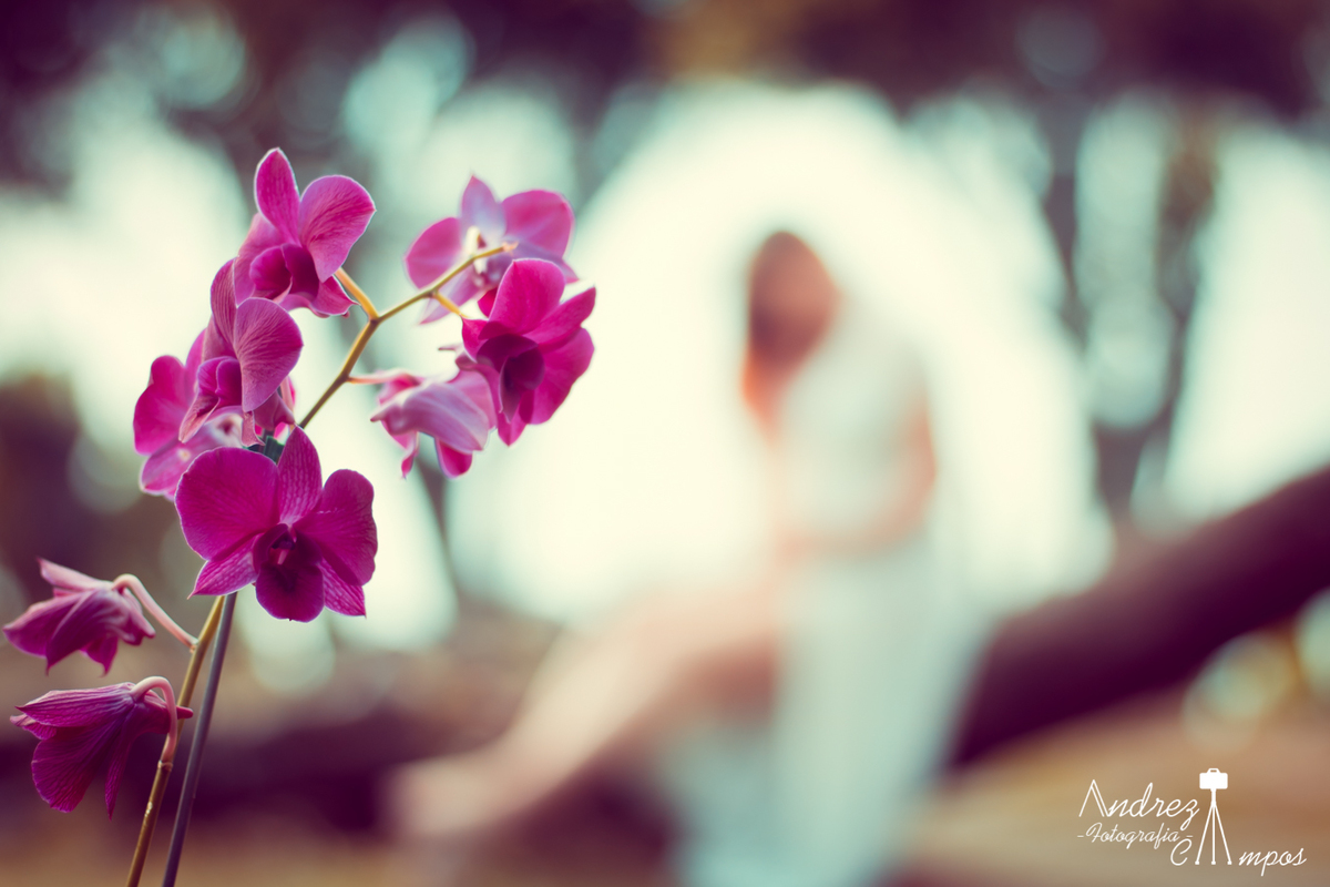 Ensaio Gestante orquidea