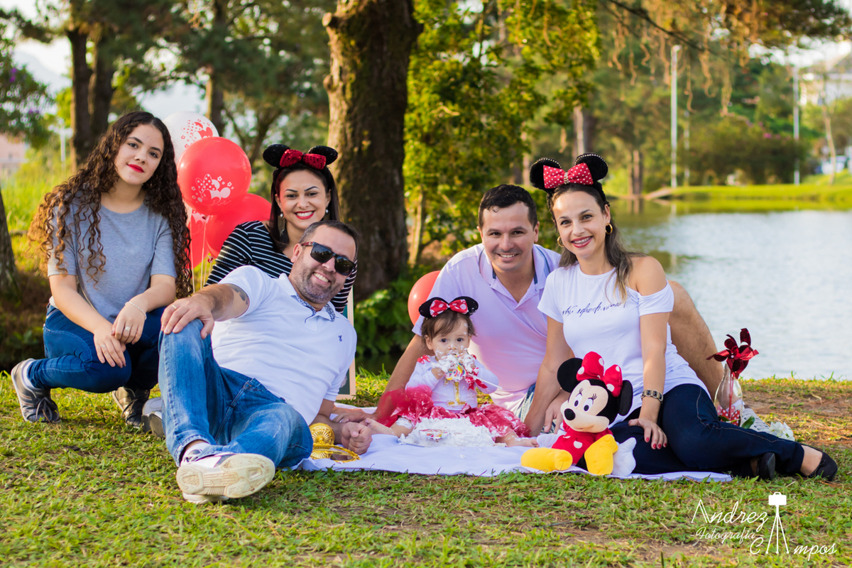 smash the cake familia