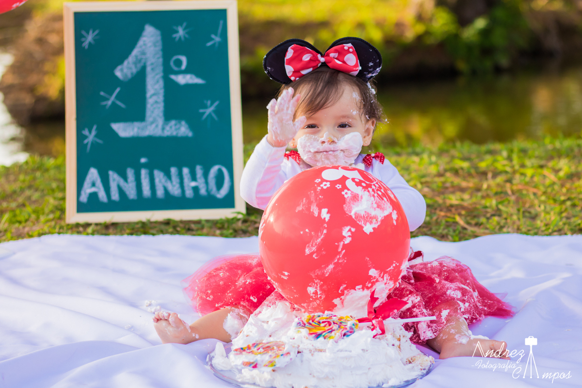 ensaio pre aniversario minnie