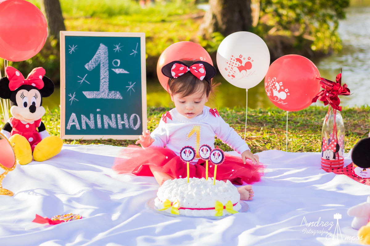 smash the cake mickey