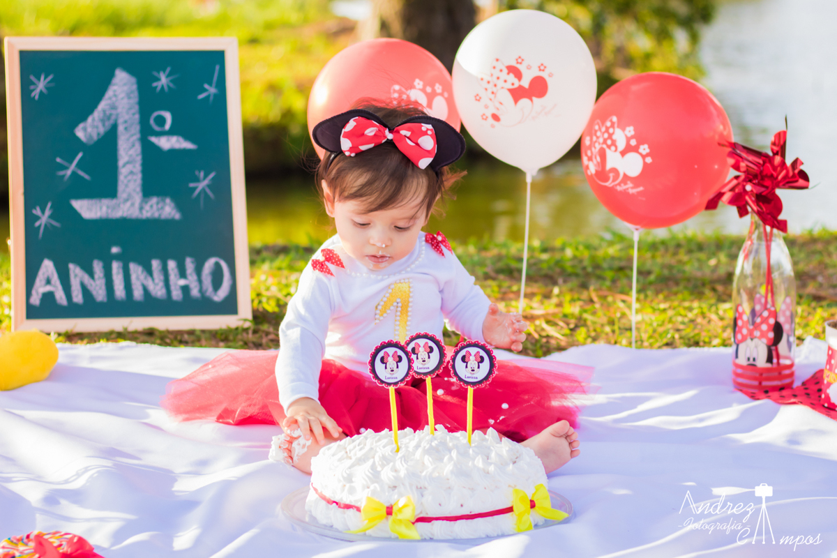 smash the cake menina