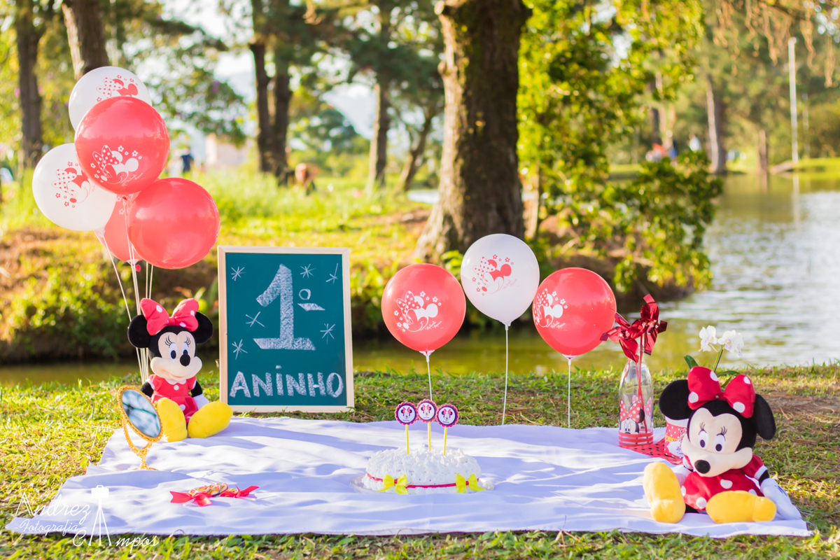 smash the cake minnie