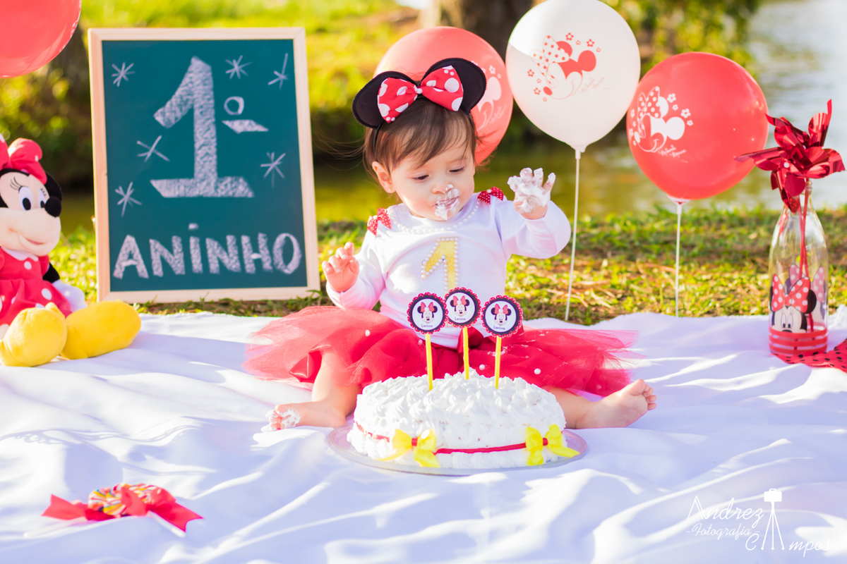 smash the cake mickey rosa