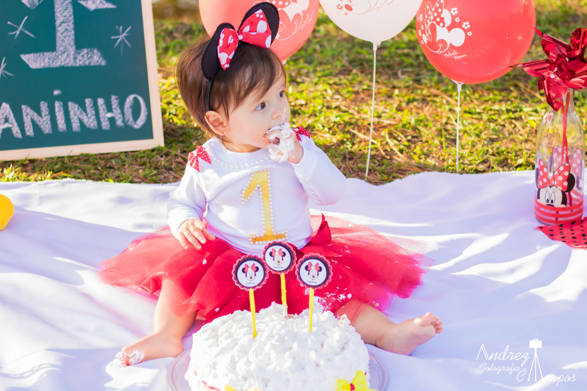 smash the cake parque