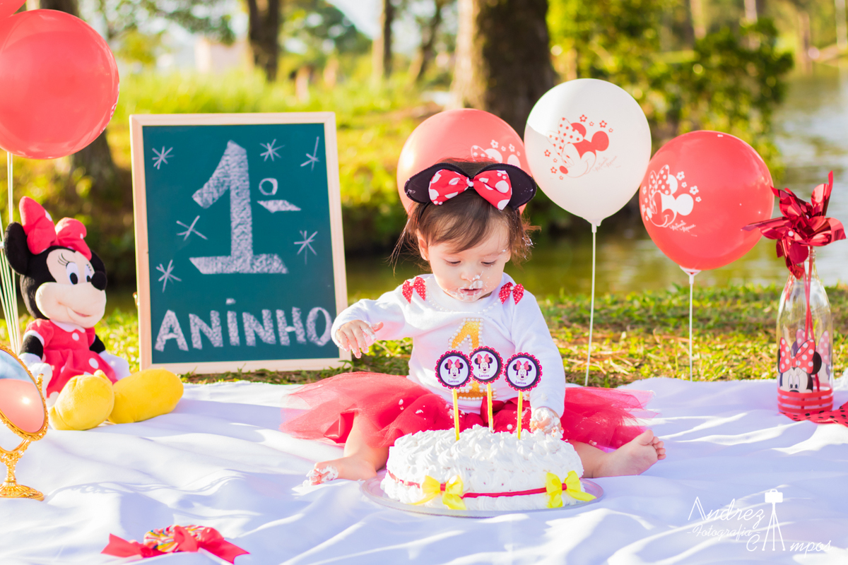 cenario para smash the cake 