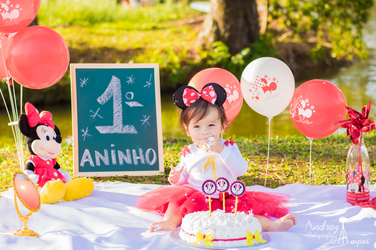 cenario smash the cake mickey