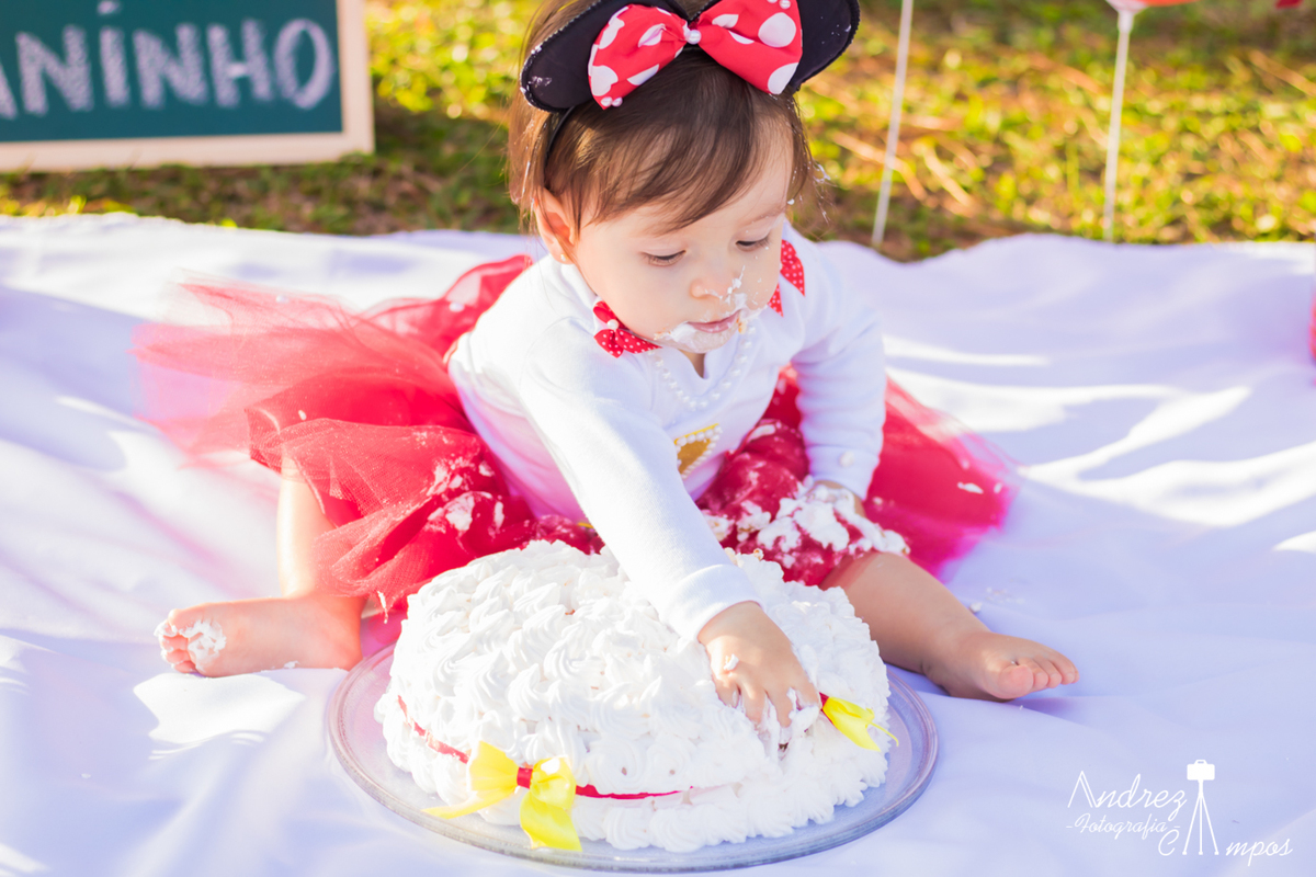 cenario smash the cake menina