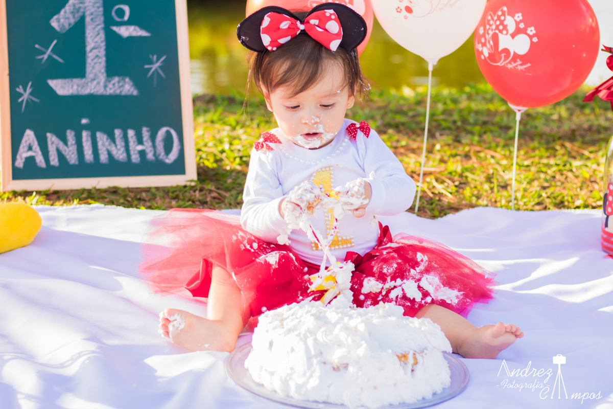 cenario smash the cake minnie