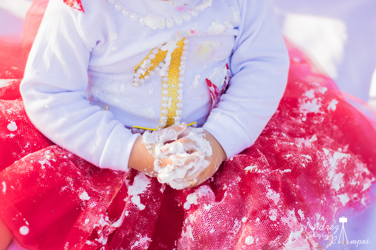 roupinha smash the cake