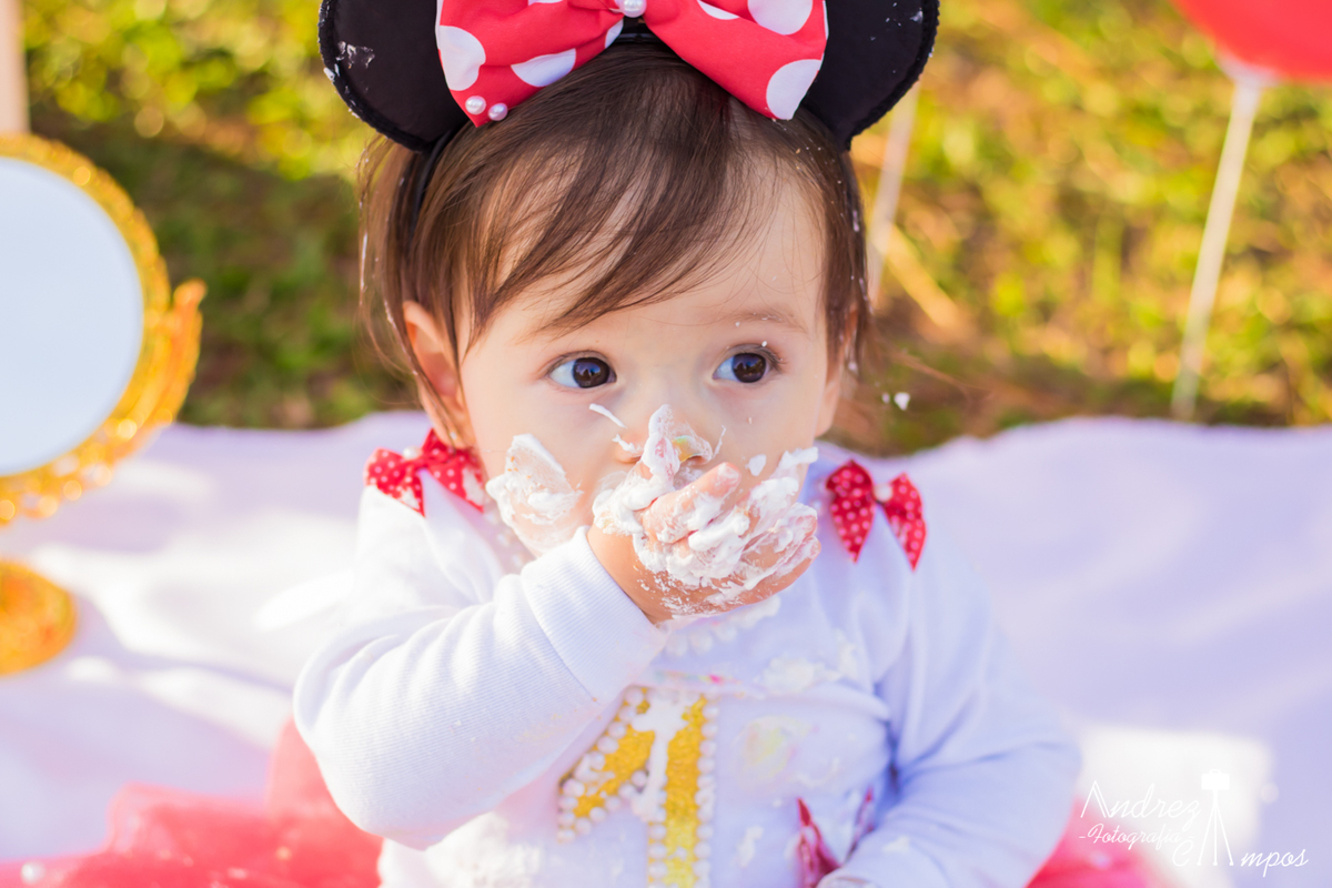 decoracao ensaio pre aniversario 