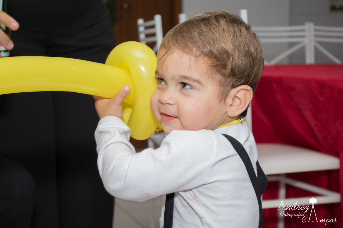 aniversario gemeos menino