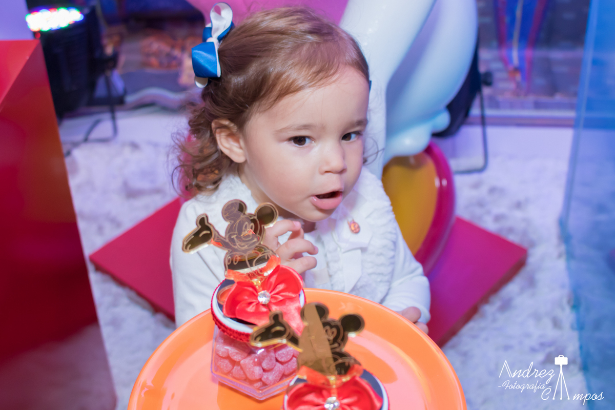 decoração mundo disney