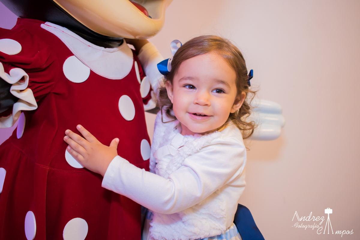 decoração mundo disney menina