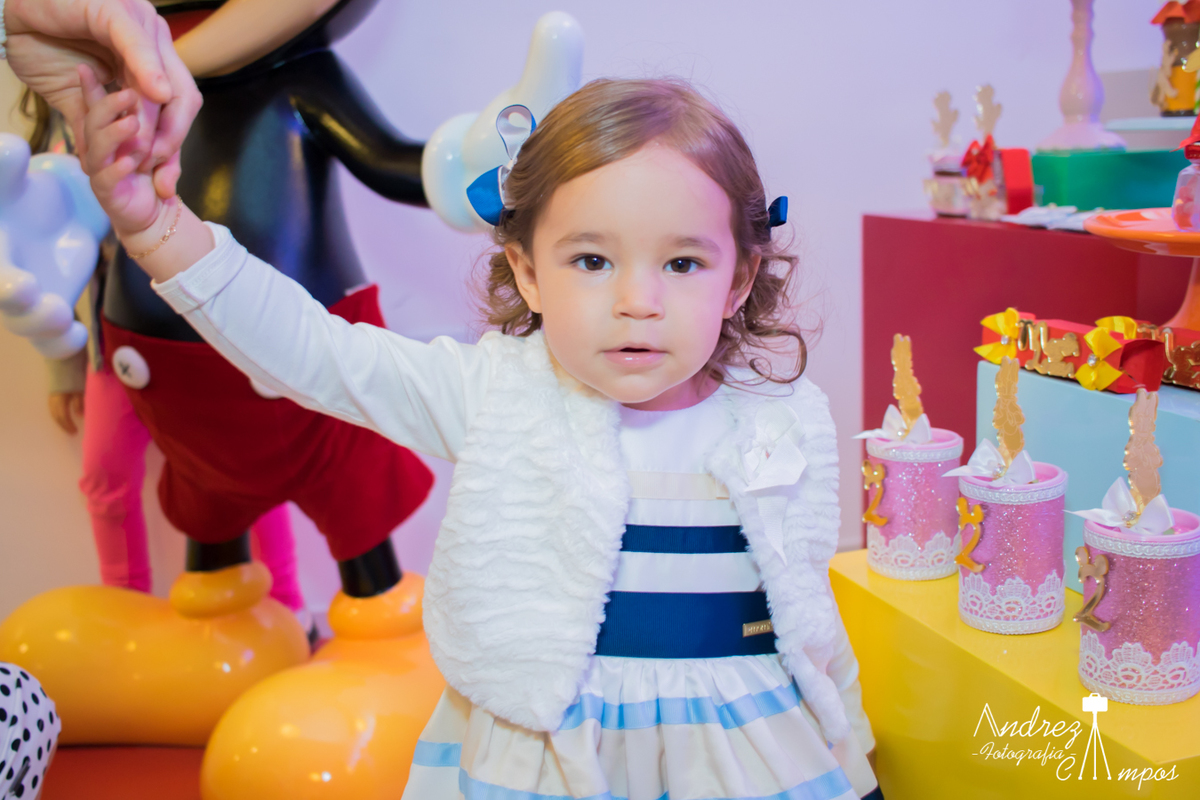 decoracao mundo disney