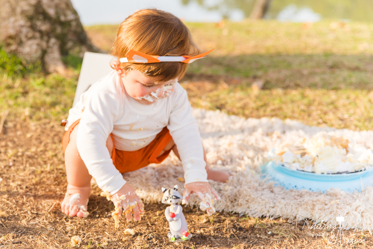 smash the cake natureza