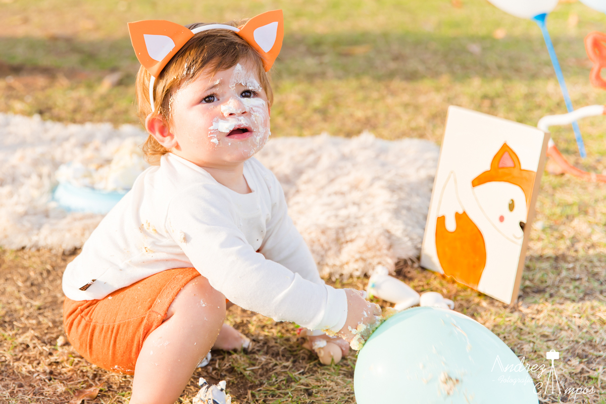 smash the cake disney