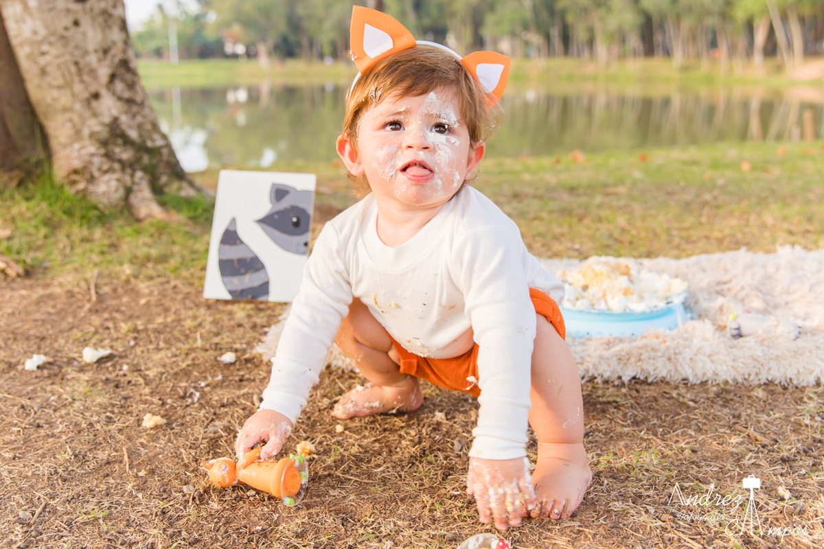 smash the cake fazendinha