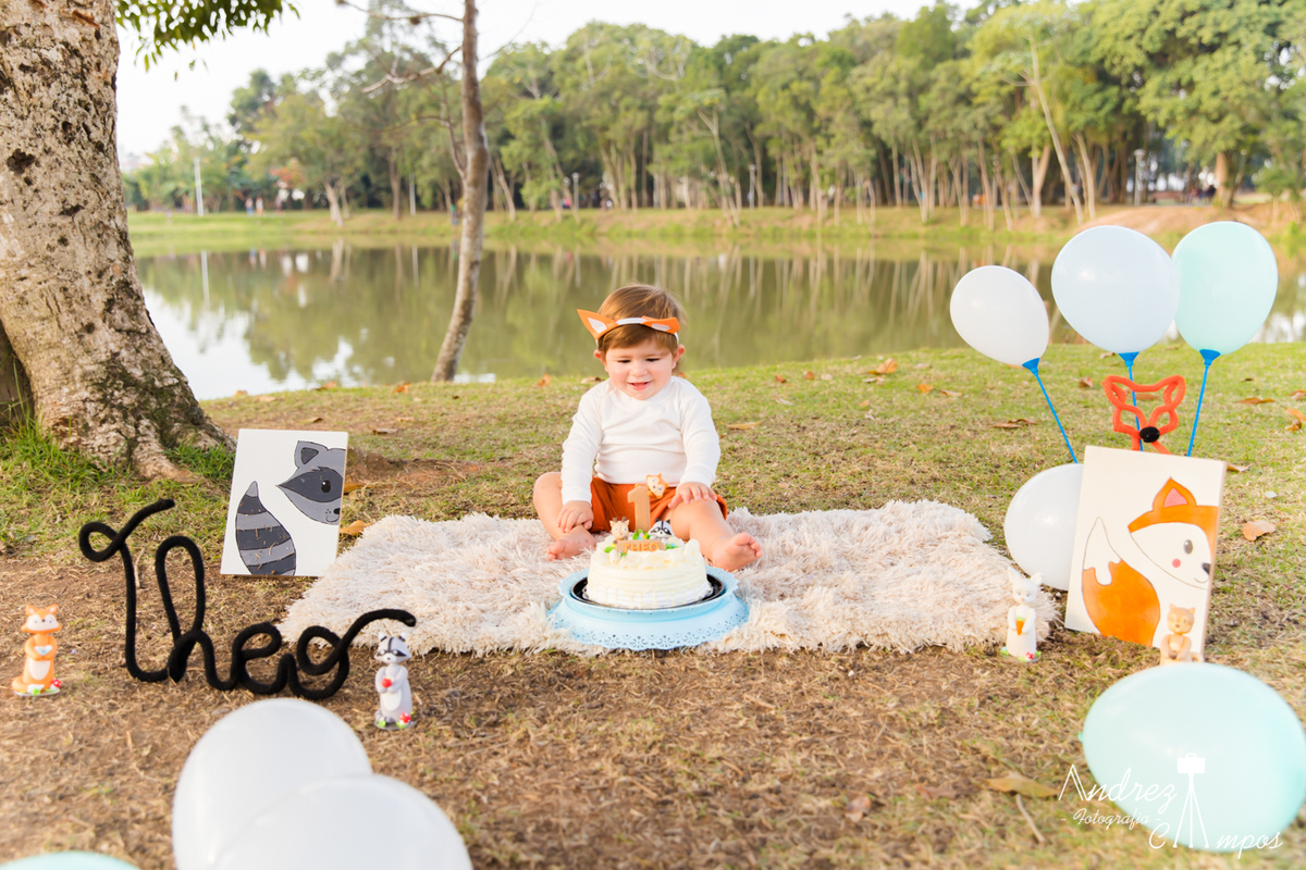 smash the cake fazenda