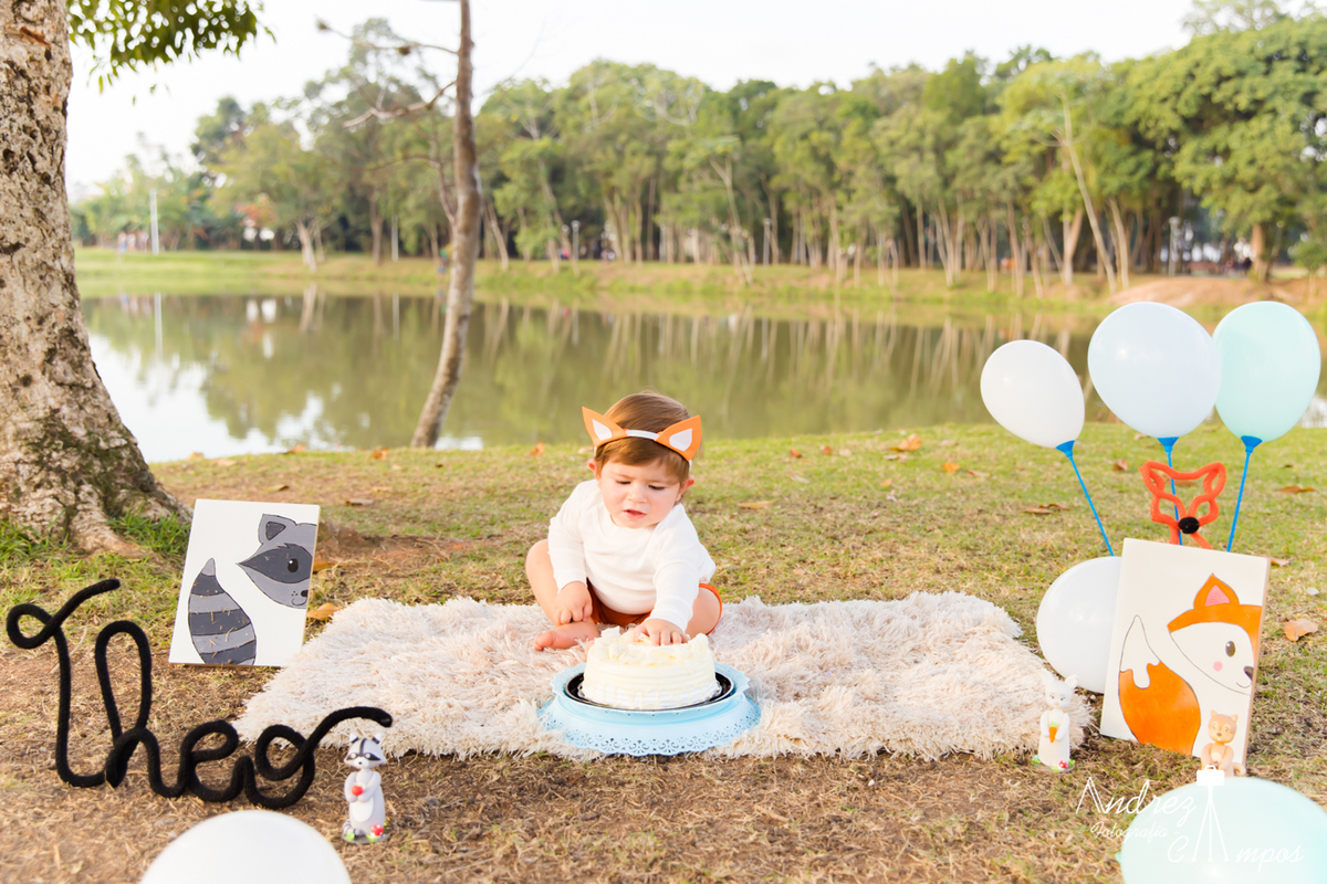 ensaio smash the cake fazenda