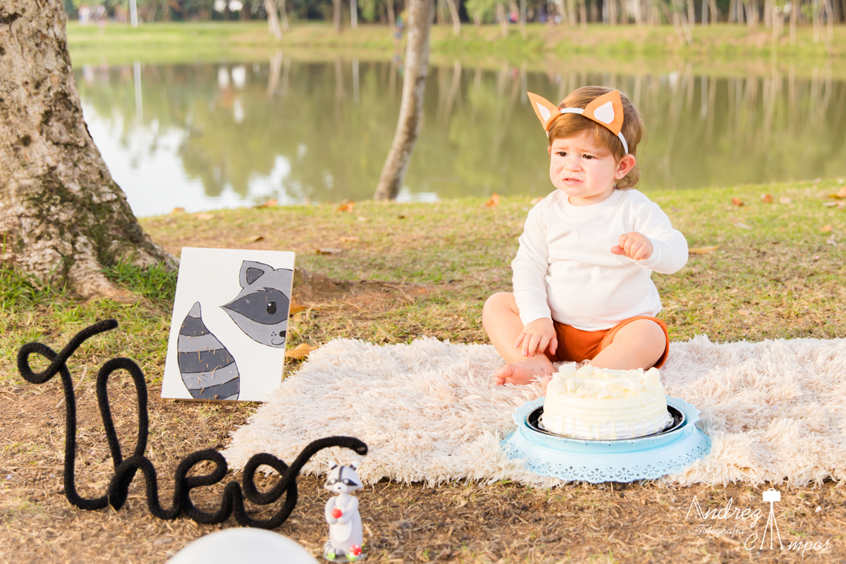 sessao smash the cake raposa