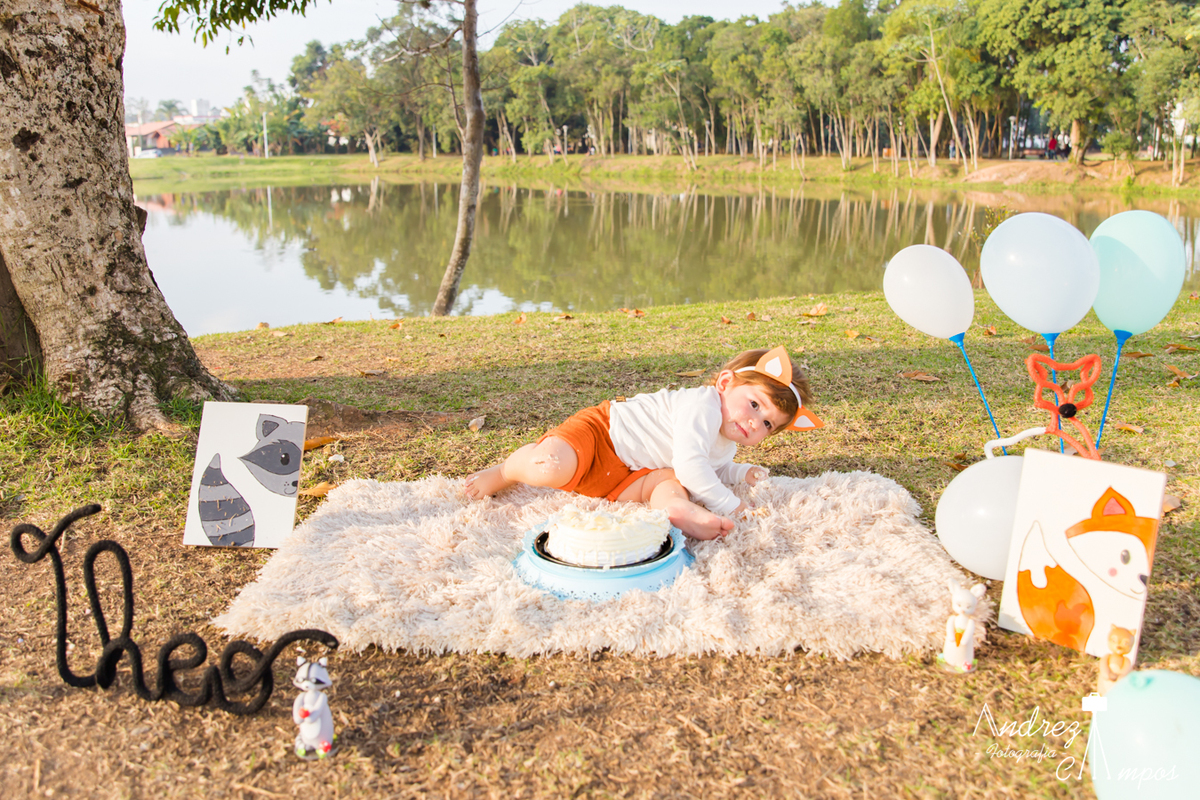 decoração smash the cake