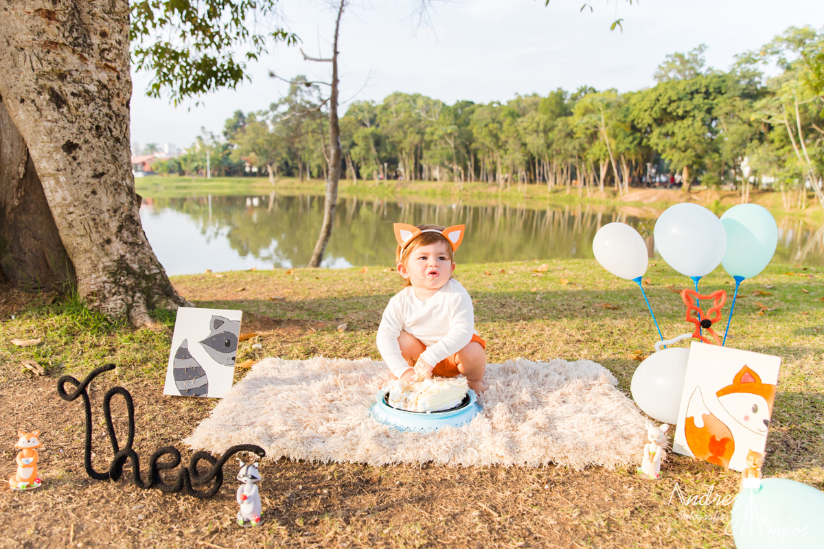 smash the cake fazenda