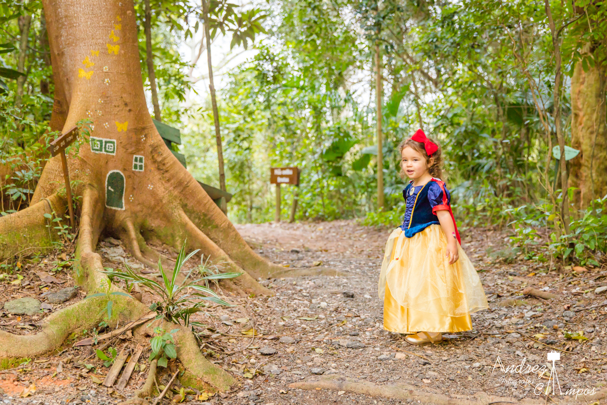 smash the cake branca de neve