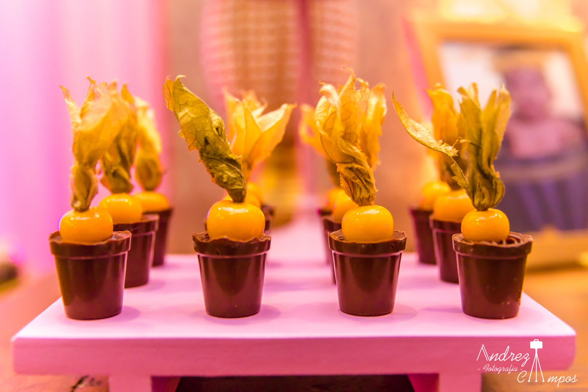 docinho festa 15 anos