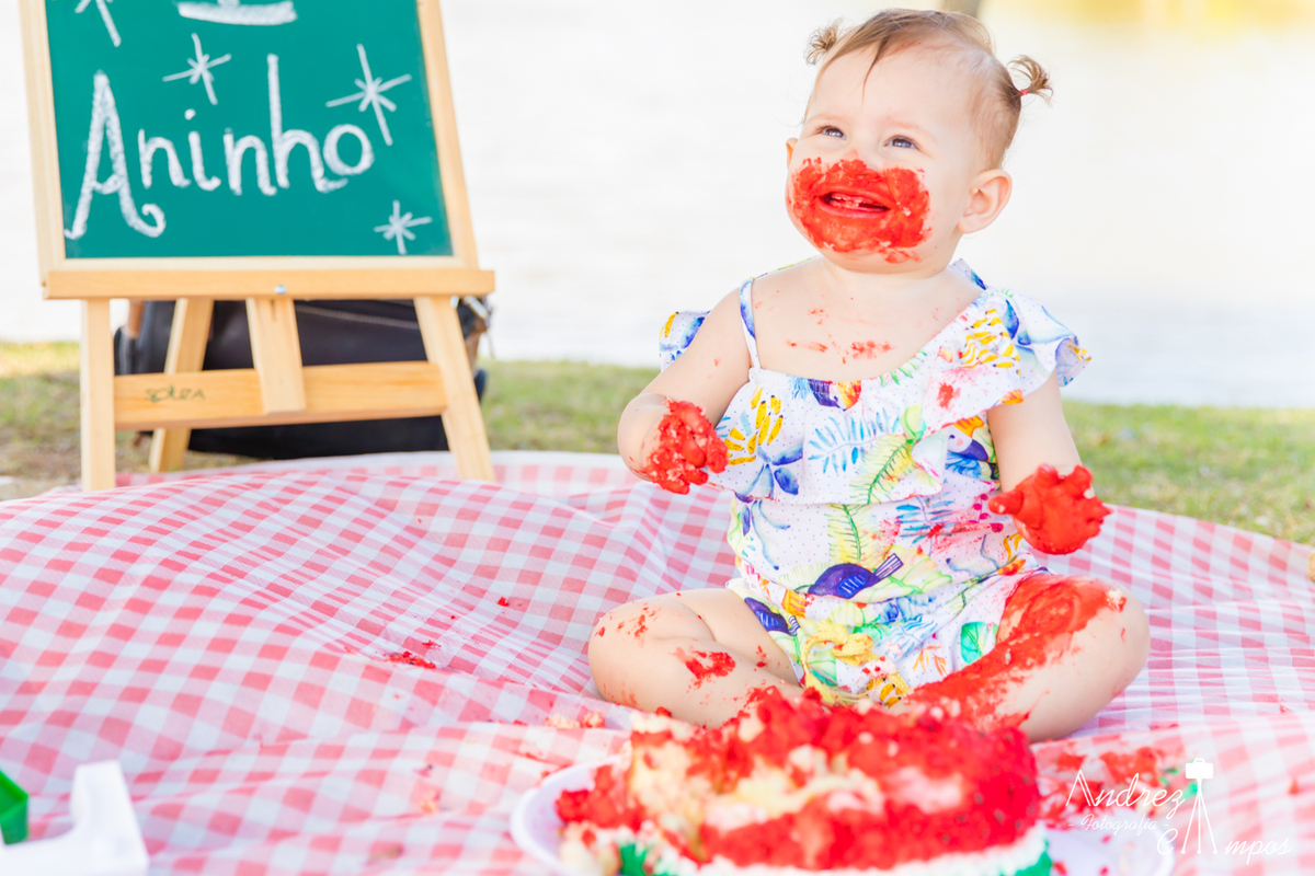 smash the cake circo