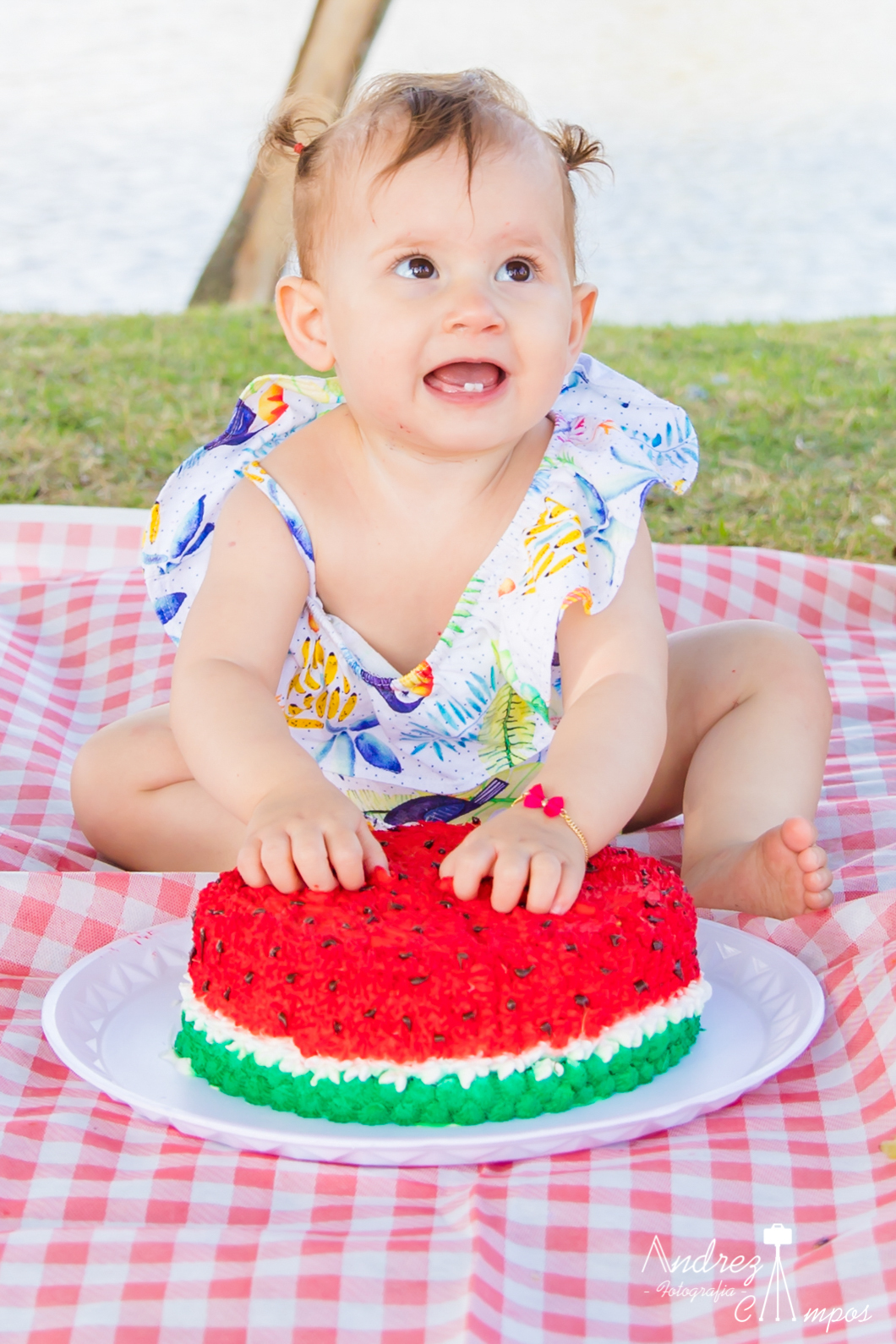 smash the cake