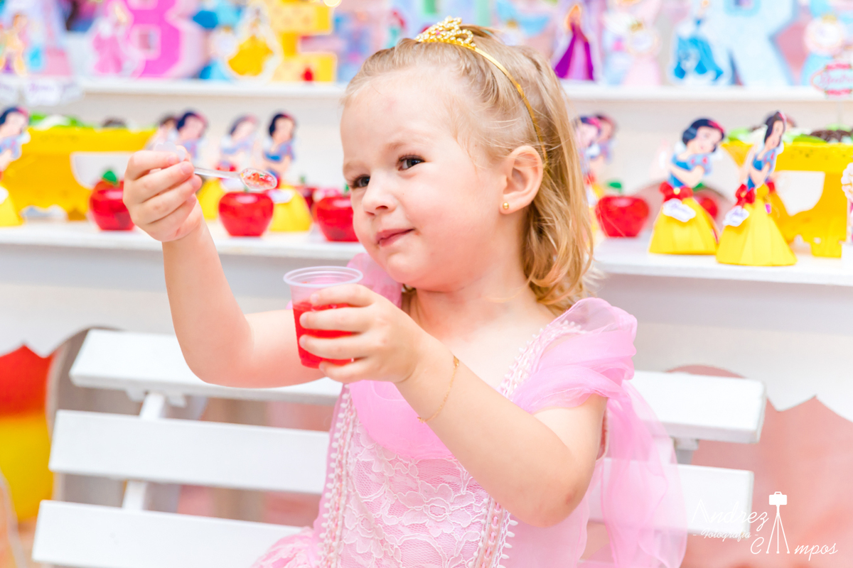 fantasia princesa disney