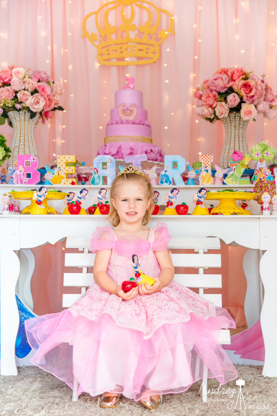 fantasia princesa disney