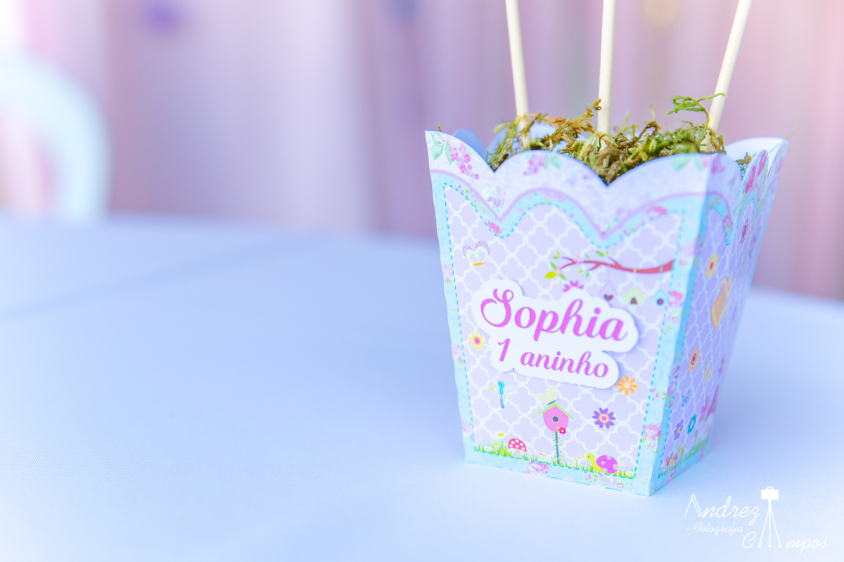 aniversario infantil menina