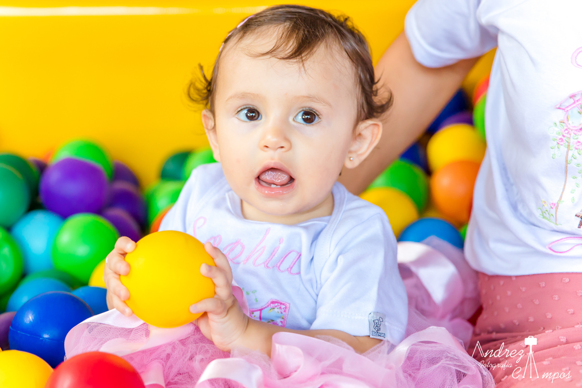 aniversario infantil florianopolis