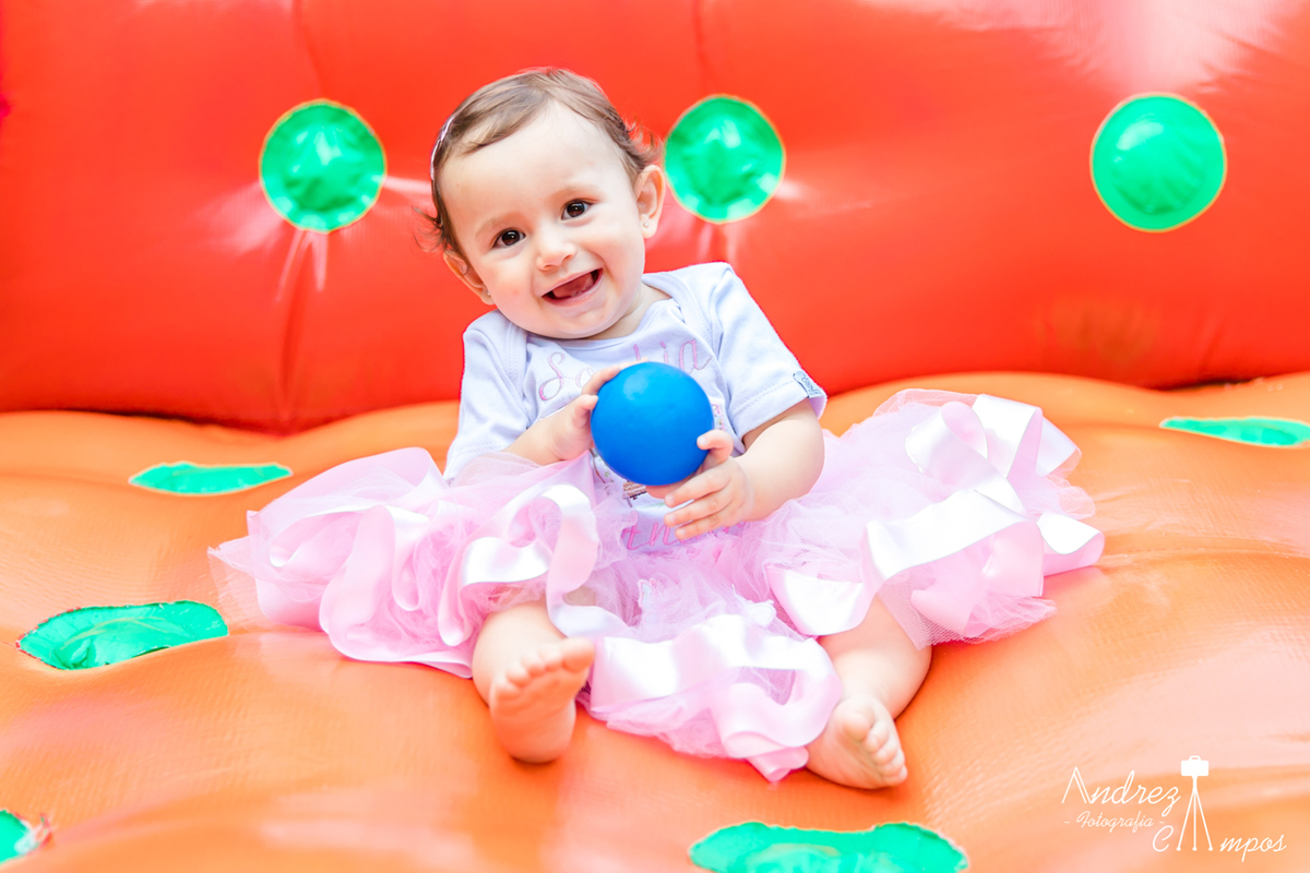 festa infantil florianopolis