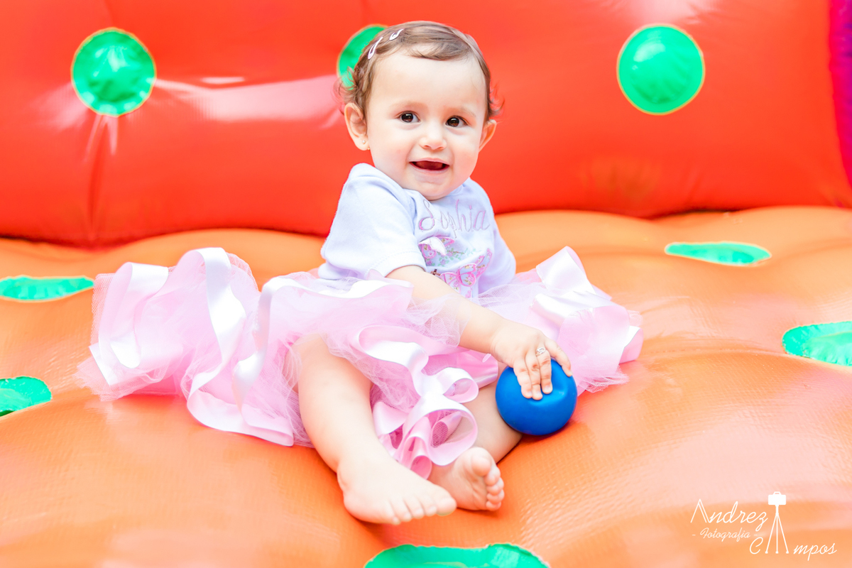 festa infantil florianopolis