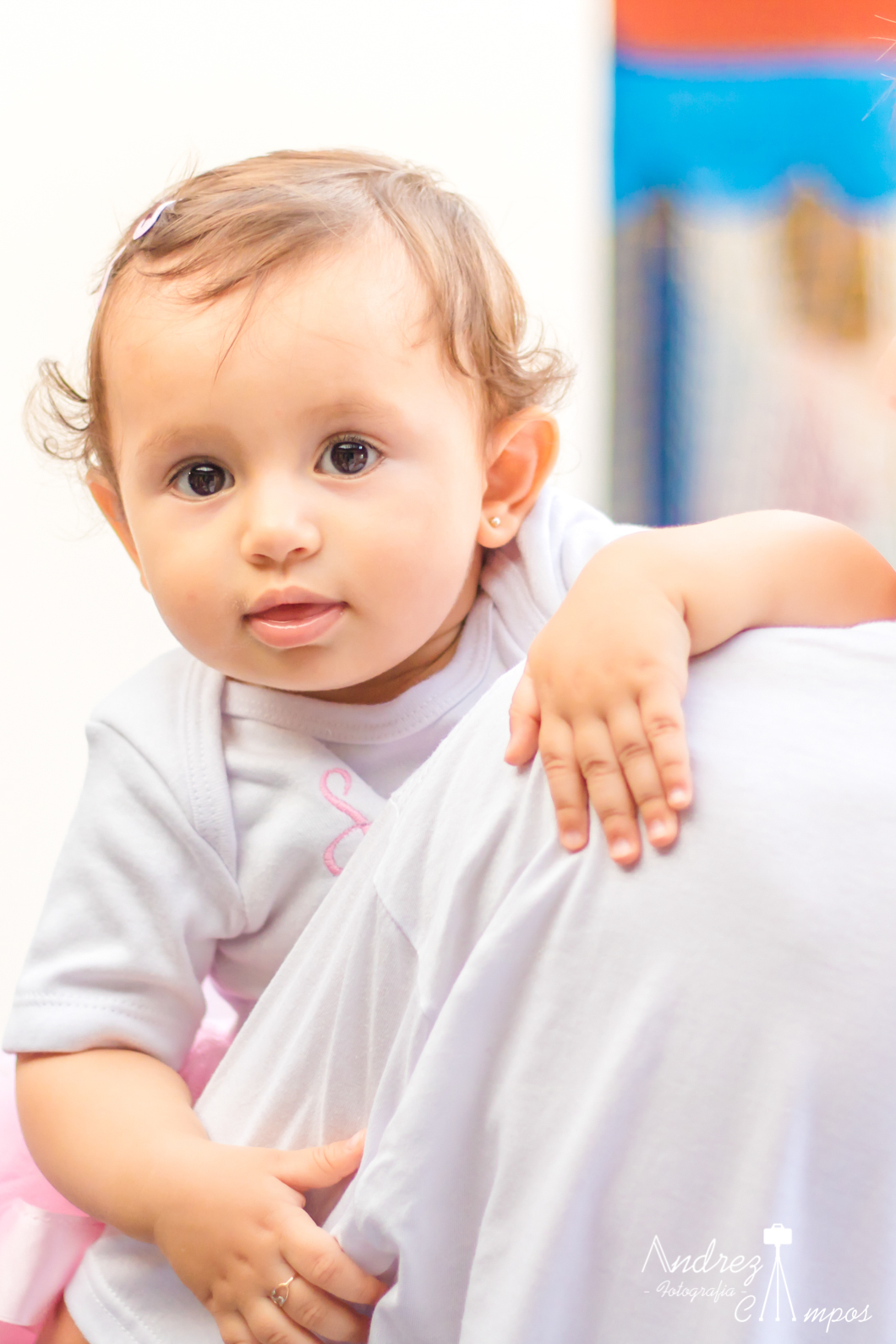 aniversario infantil floripanopolis